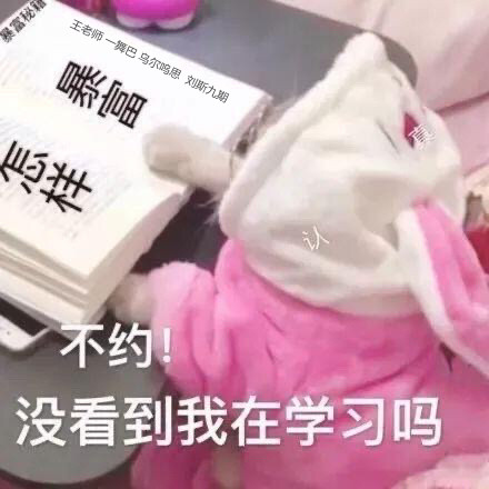 �}������һ؞�ƌ��D(zhu��n)���o��(d��o)��